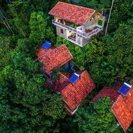 Serenite Ella Luaran gambar