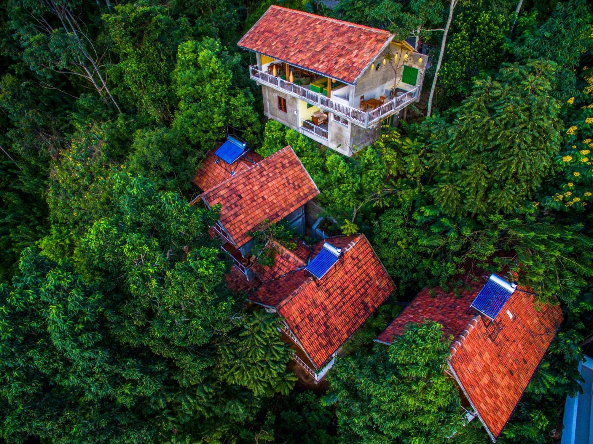 Serenite Ella Luaran gambar